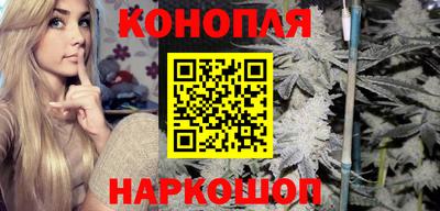 шишки Аргун