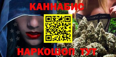 шишки Аргун