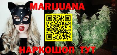 шишки Аргун