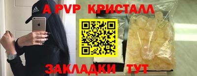 шишки Аргун