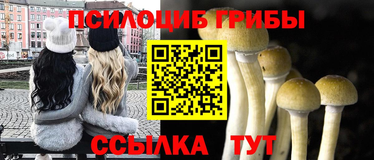 Псилоцибиновые грибы ЛСД Великие Луки